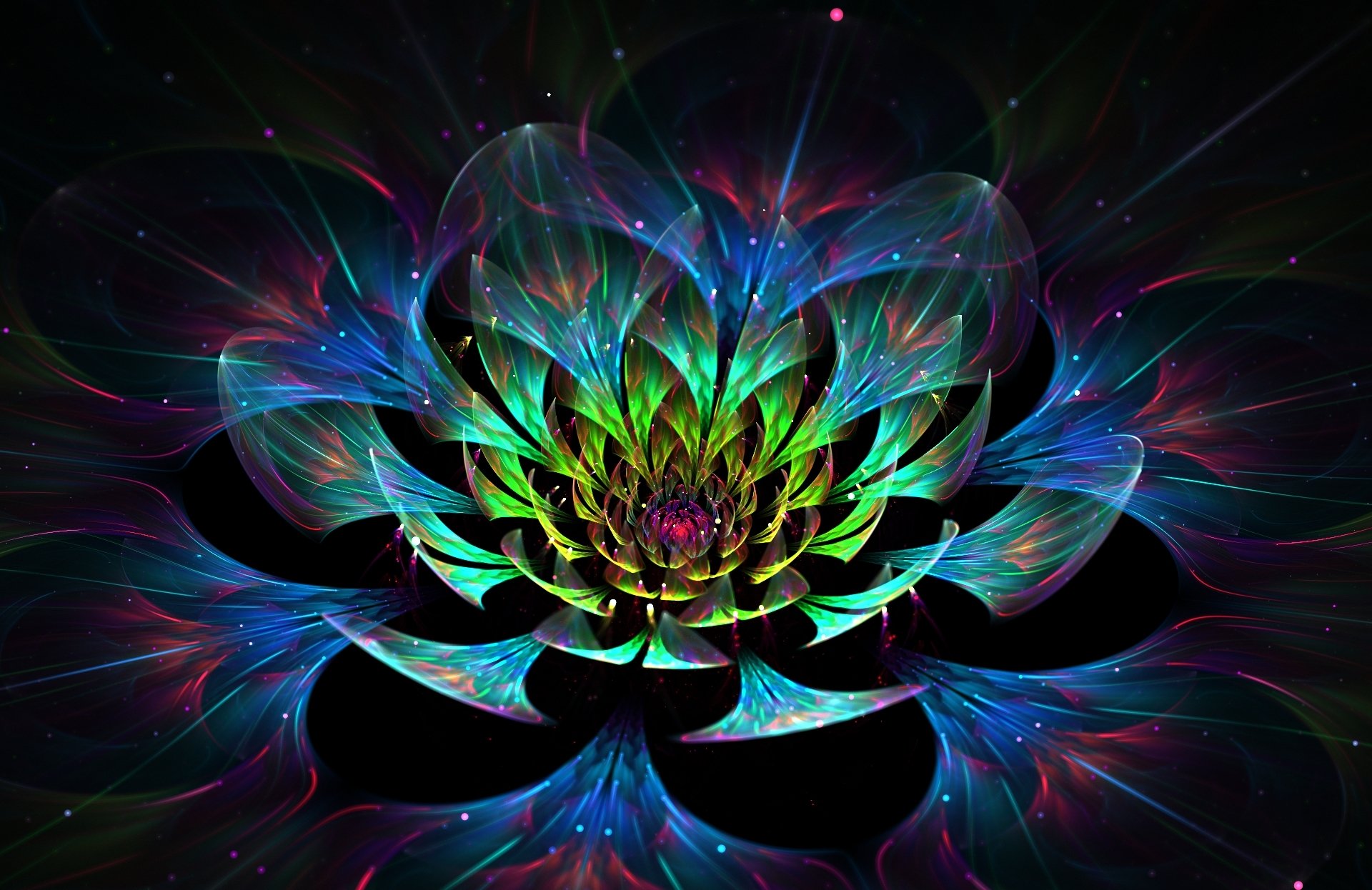 3d grafica astrazione fiore loto petali