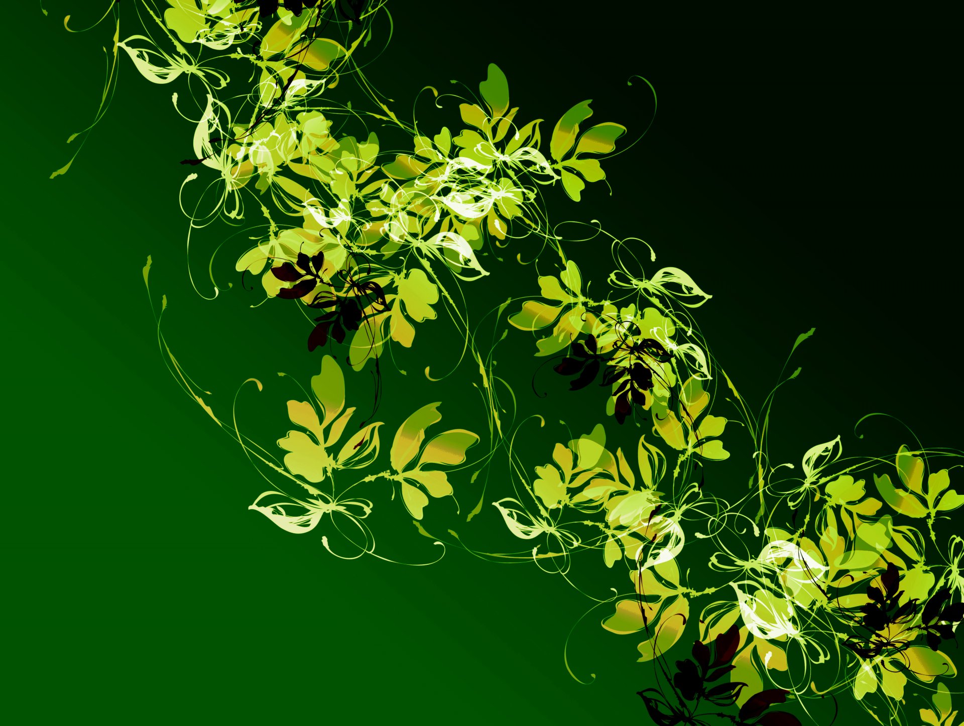 pattern plant vine leaves light flowers contrast