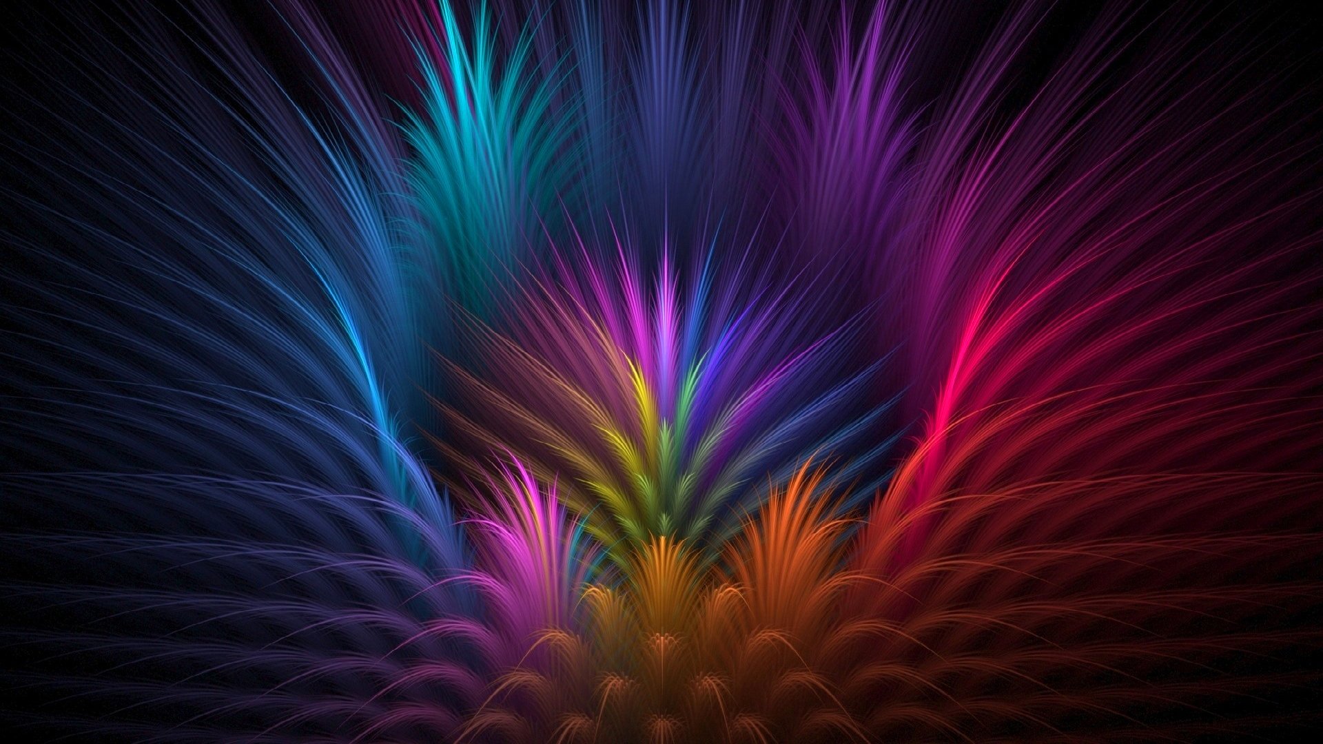 flowers light feathers flower petals rays line volume symmetry