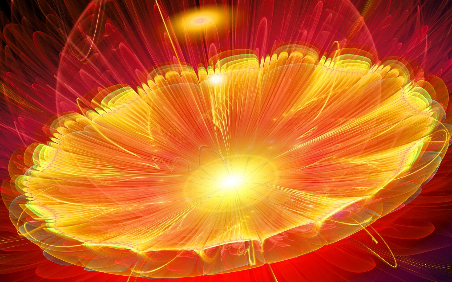 flowers form abstract