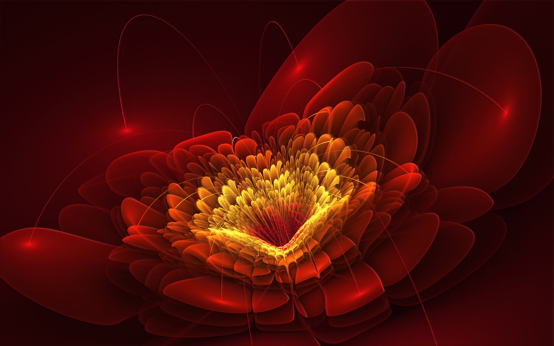 flower petals line red