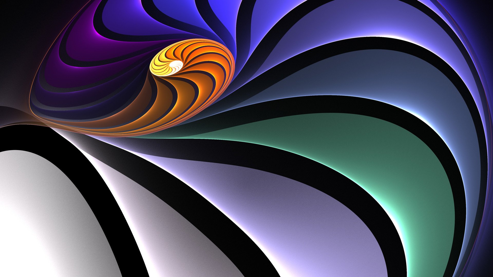 spirale coquille lignes courbes