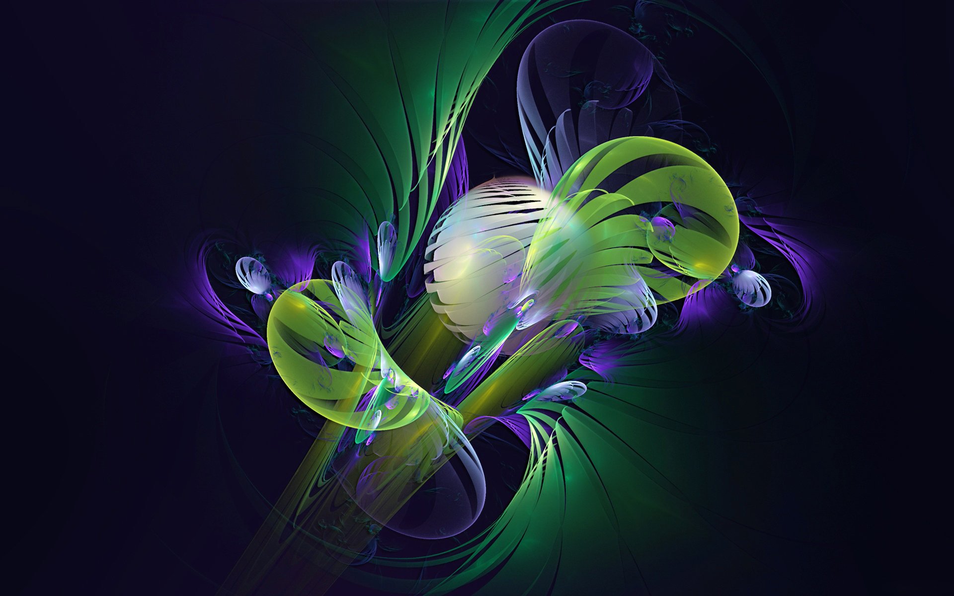 luce colore volume crepuscolo petali