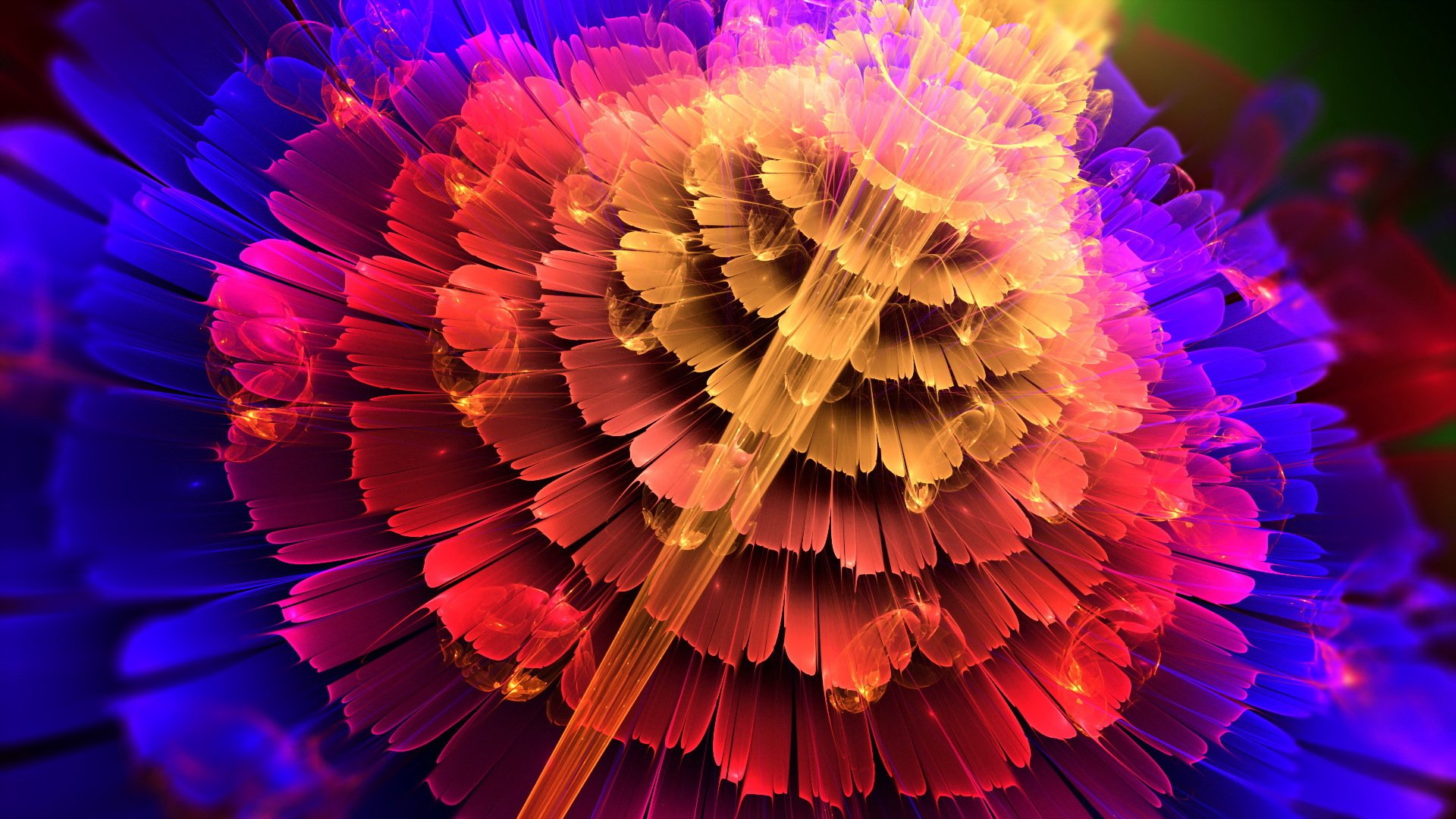 flowers form abstract