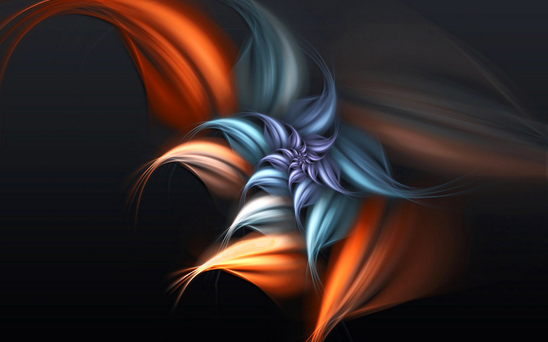 petals fantasy wallpaper flower semitone