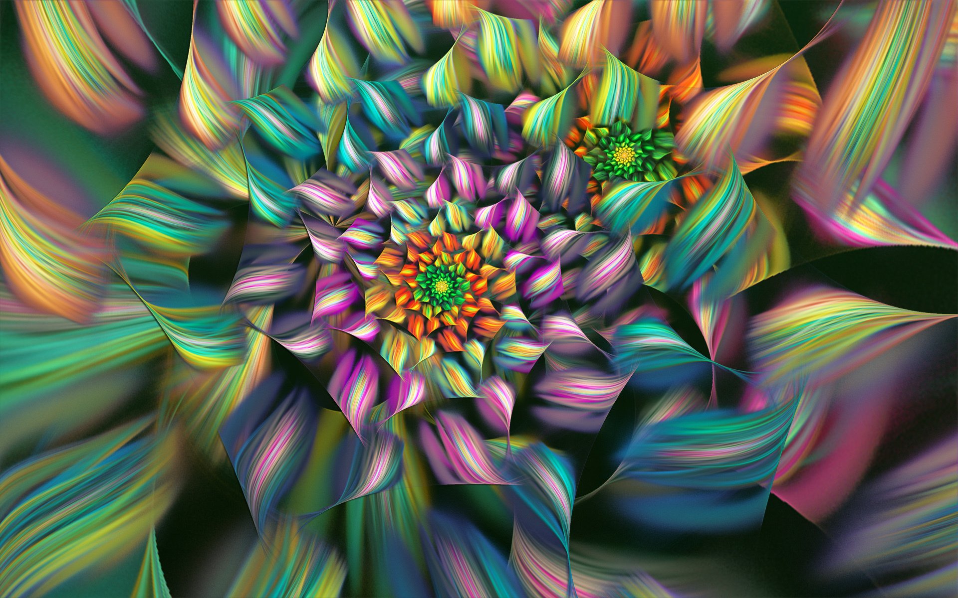 flower petals line color