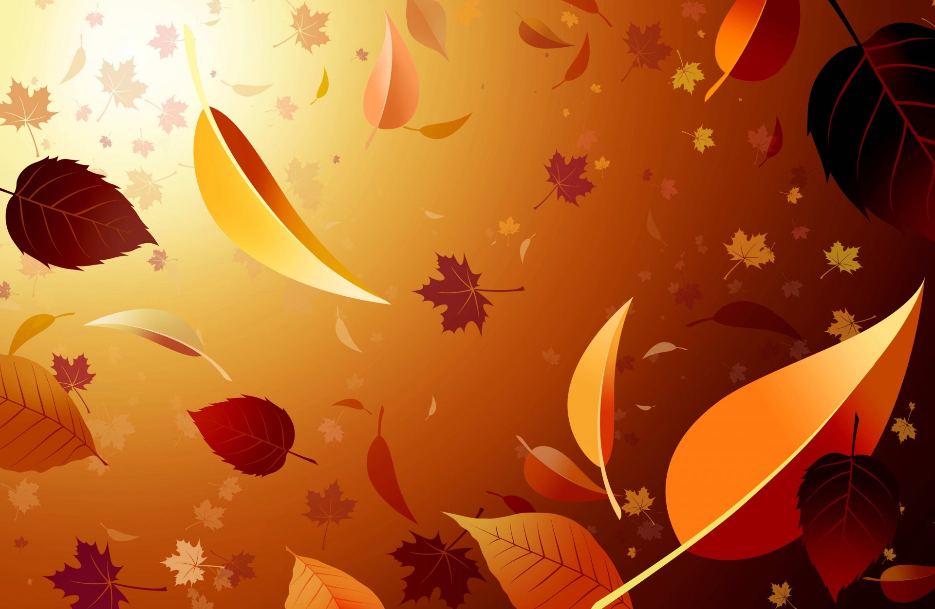 feuilles automne papier peint érable lumière chute des feuilles