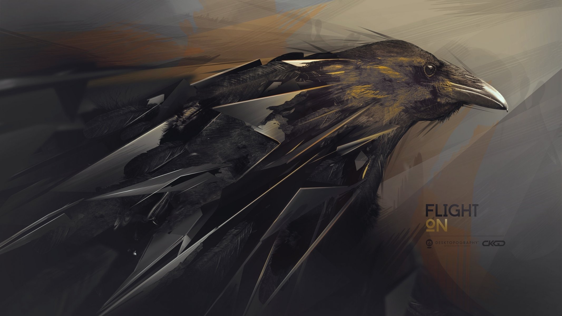 rabe abstraktion desktopography hq wallpaper fliegen auf