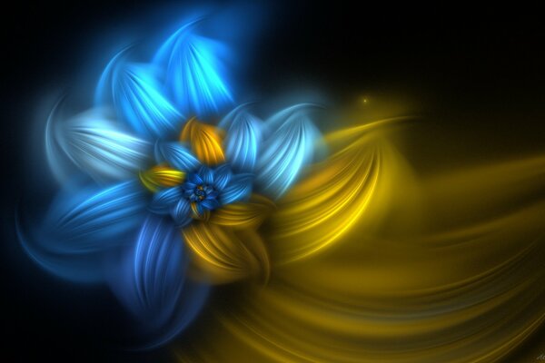 Yellow-blue flowers on a black background