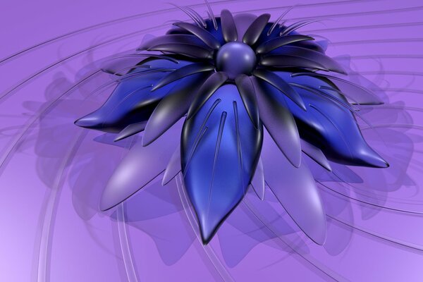 Flower with petals for desktop