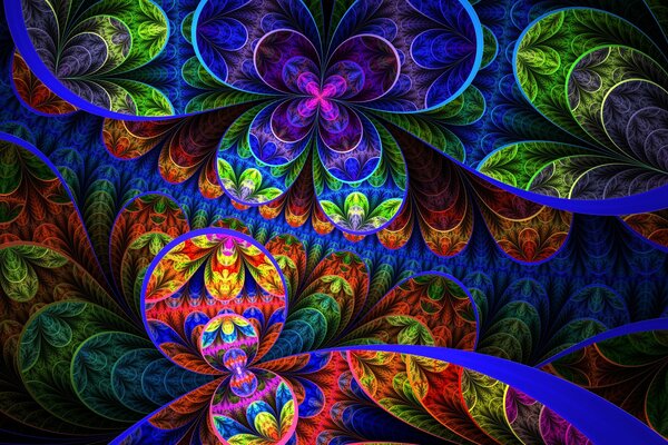 Colorful bright flower petals