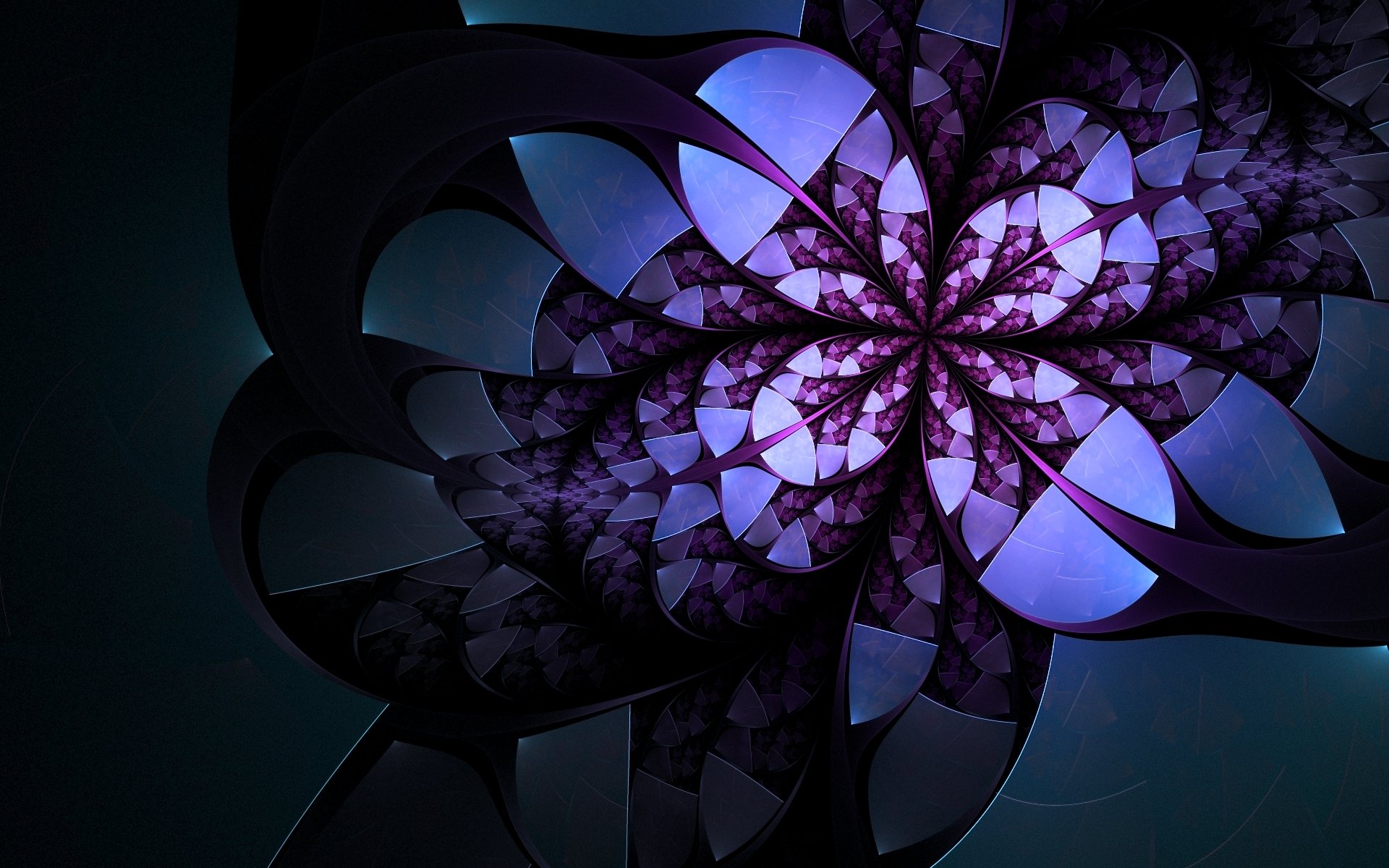 abstract flower purple white