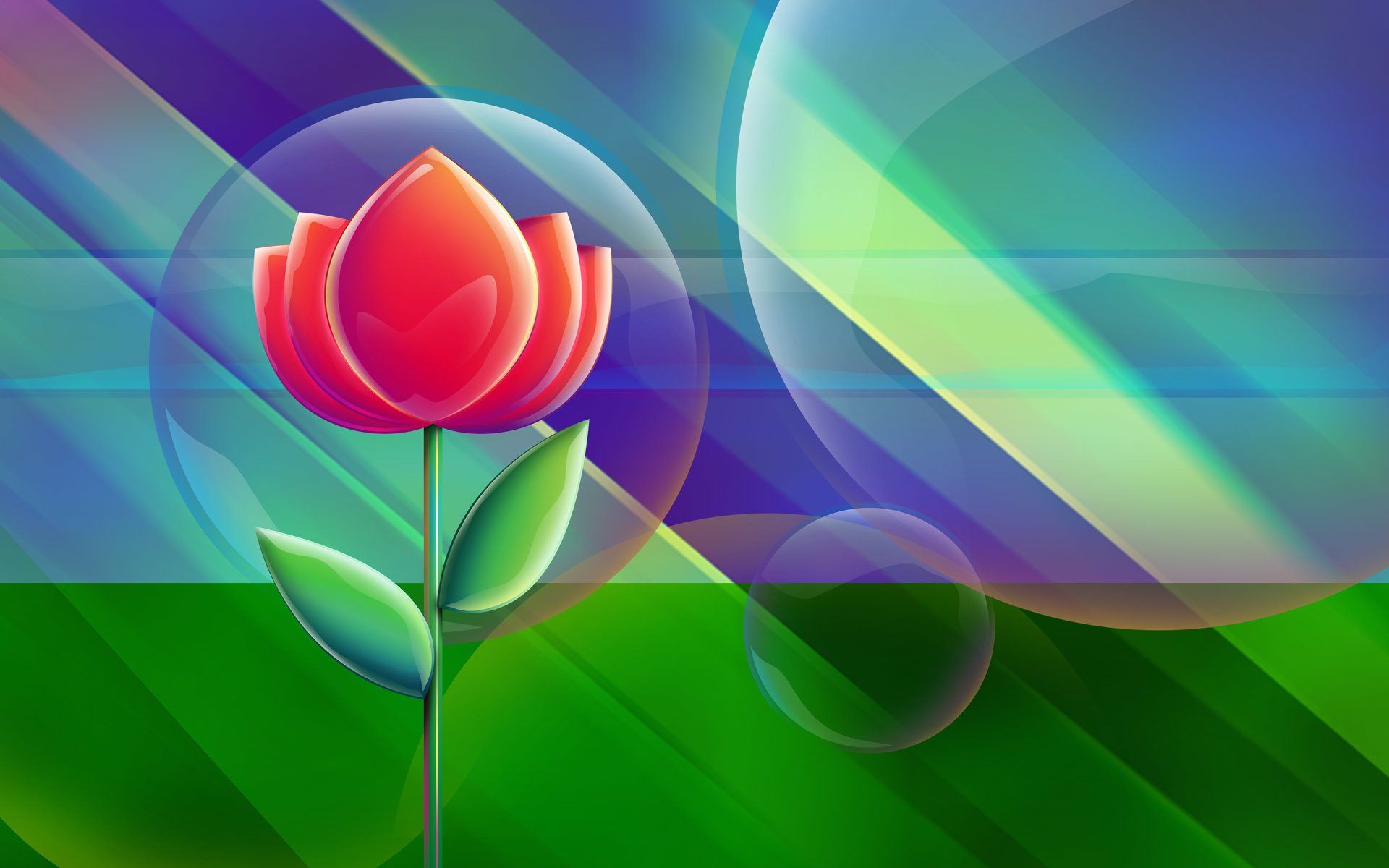 flower following bubbles background line