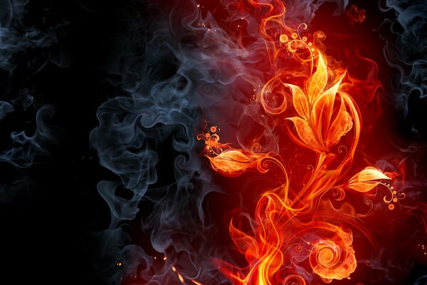 A fiery flower with smoke on a dark background