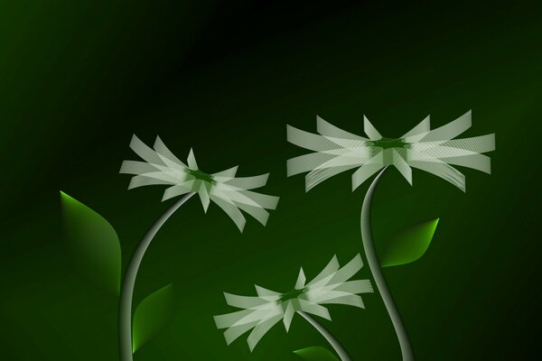 On a green background, an image of 3d flowers