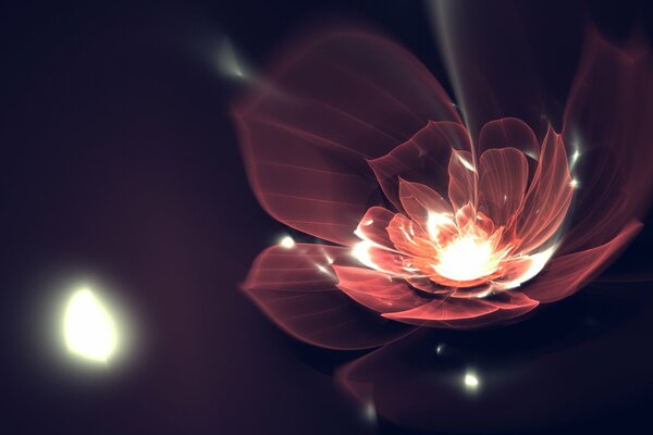 Art image of a flower with open petals and a glowing center