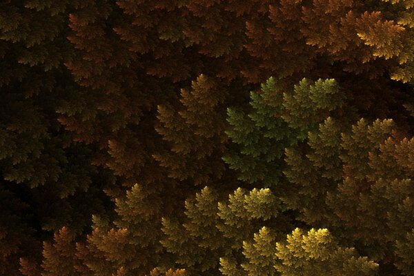 3d wallpaper spruce leaves