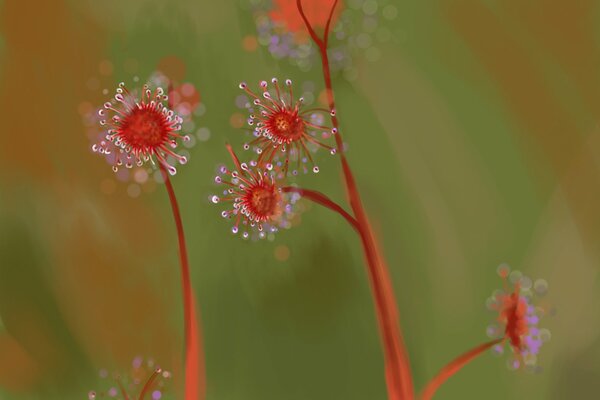 Les fleurs frappent la luminosité et la clarté