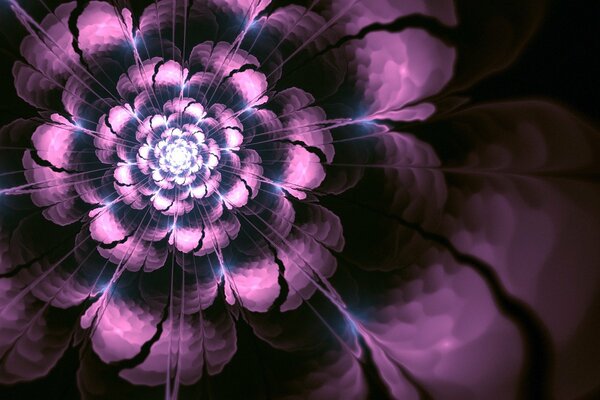 Распускающийся фиолетовый цветок, арт искусство