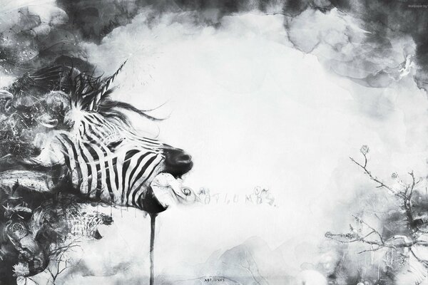 Zebra in the form of a unicorn in black and white