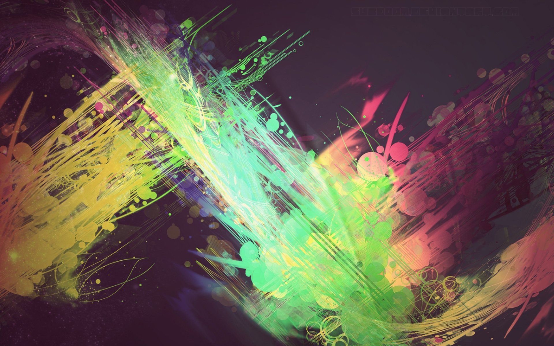 following line paint bright flowers abstract color abstract