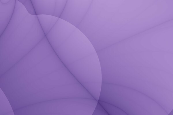 Lignes violettes en forme de pétales