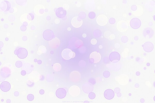 Purple and white circles on a white background