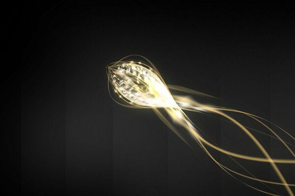 The flow of energy in the form of a jellyfish