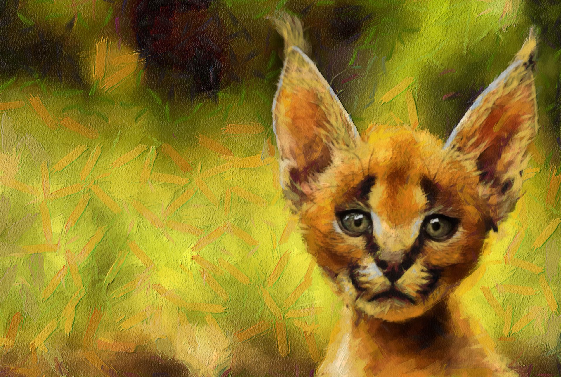 caracal snout background