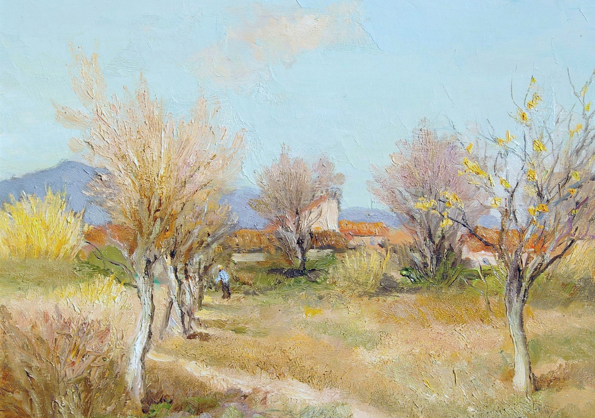 marcel dief obstgarten im frühling bild landschaft bäume frühling berge