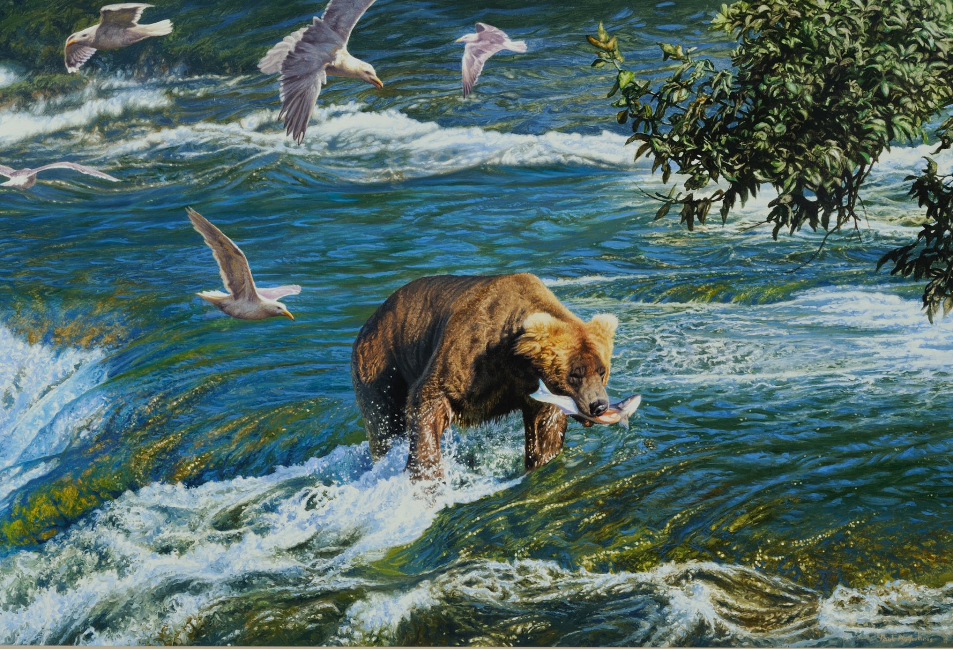 peinture rivière oiseaux ours chasse