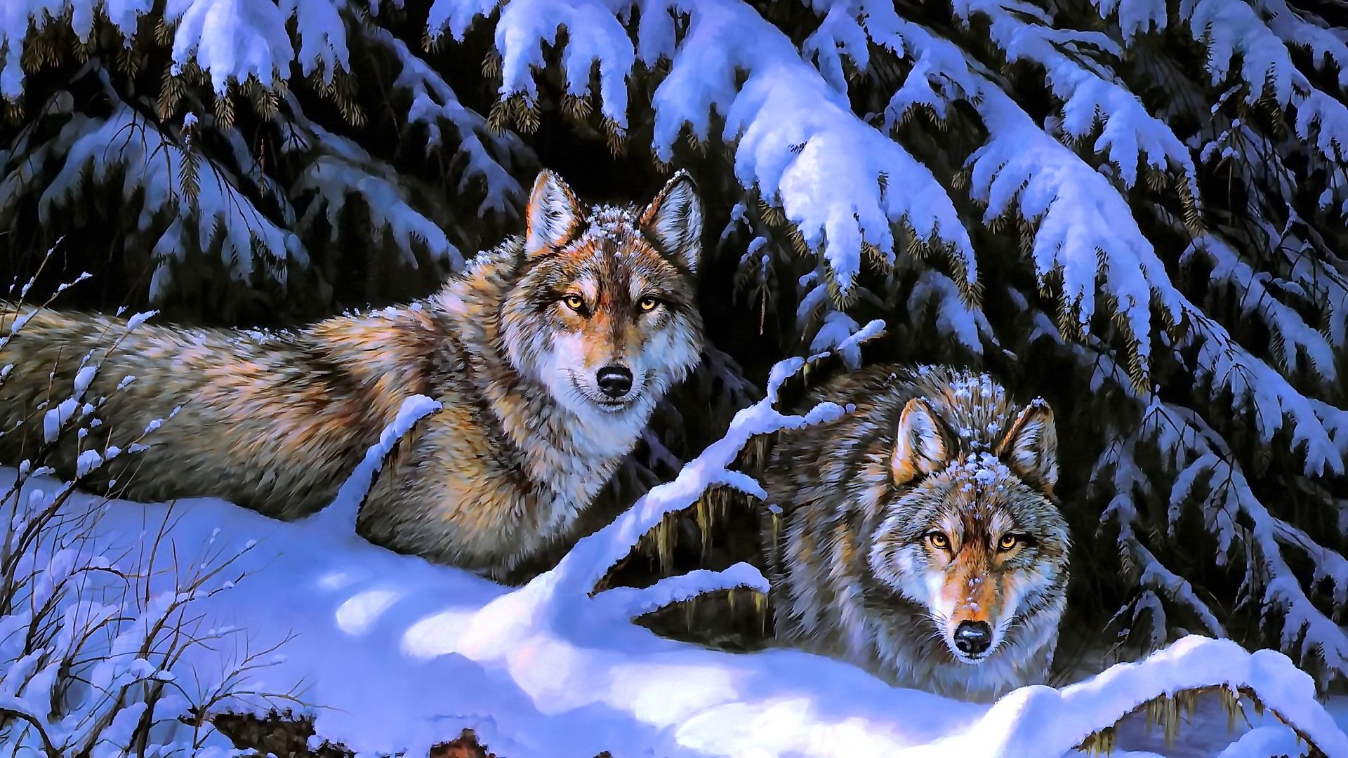 wolves tree animals winter nature snow