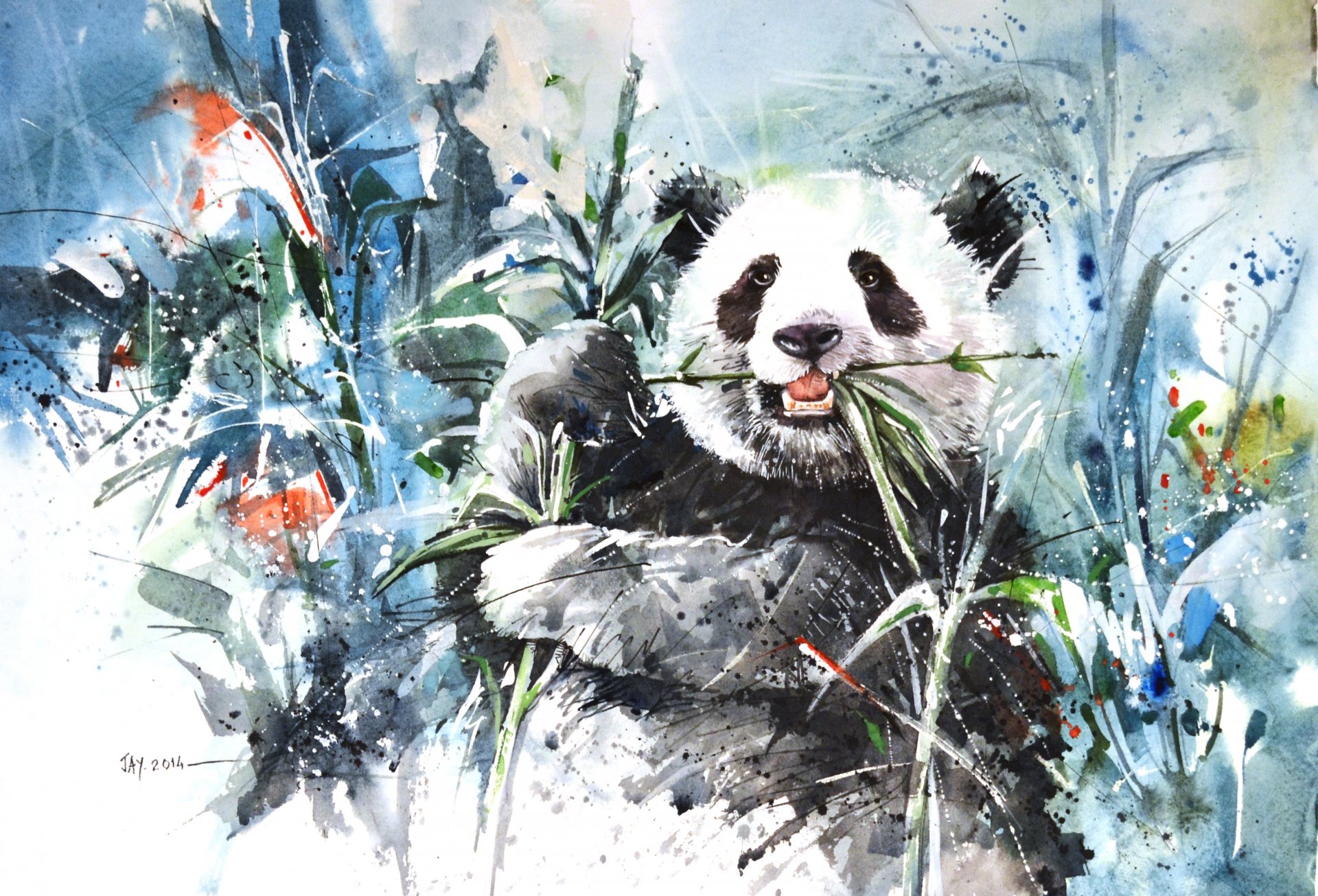 picture panda bear bamboo