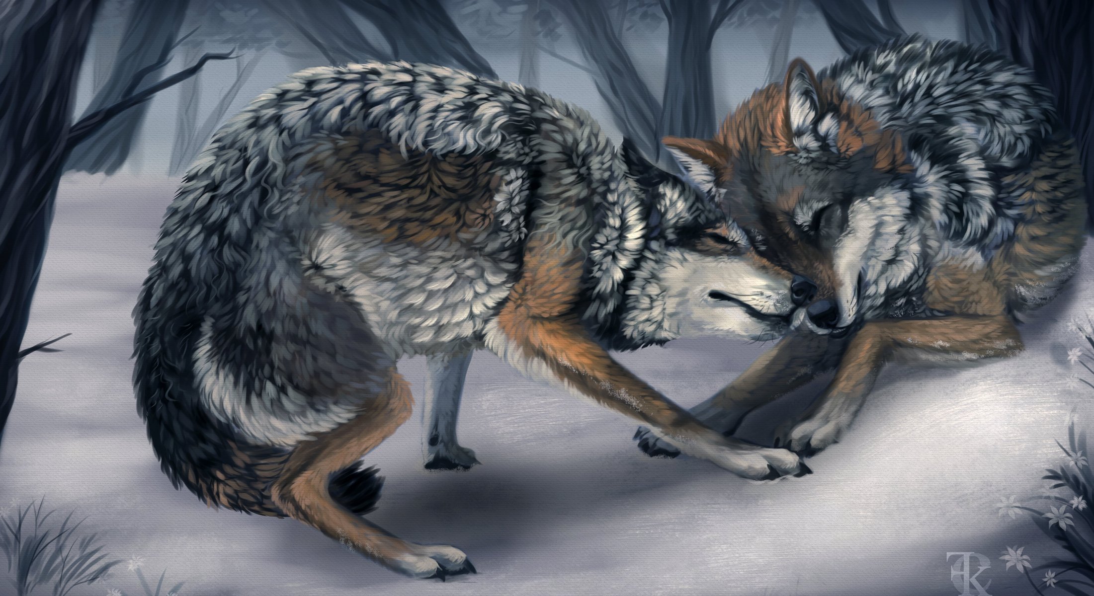 art animaux loups sauvage jeux hiver arbres