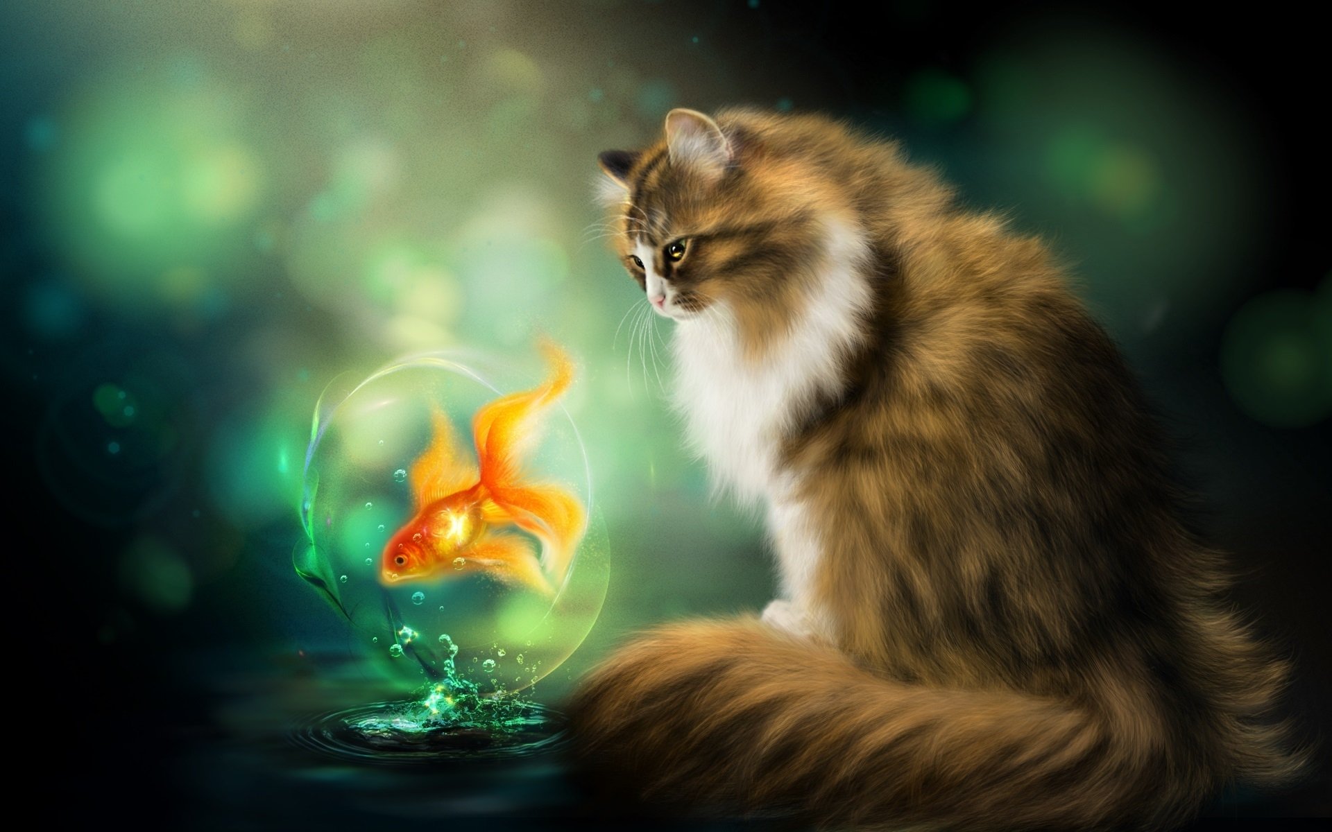 nelena photoshop chat poisson rouge poisson