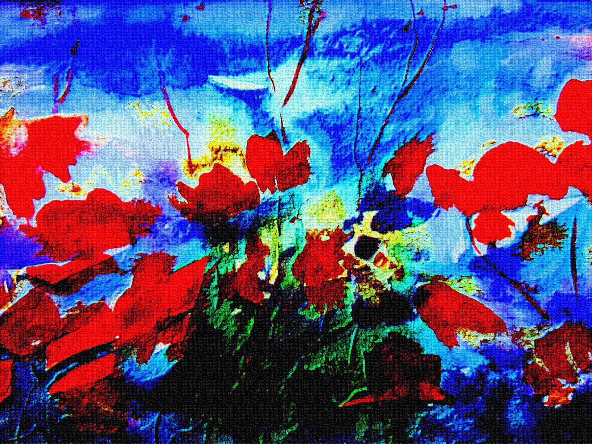 disegno fiori rosso sfondo blu