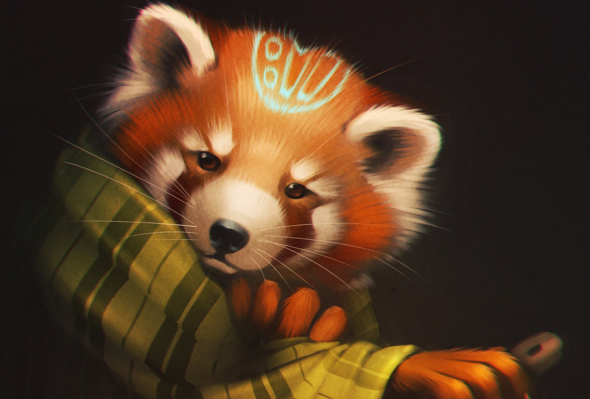 red panda panda art bear plaid view