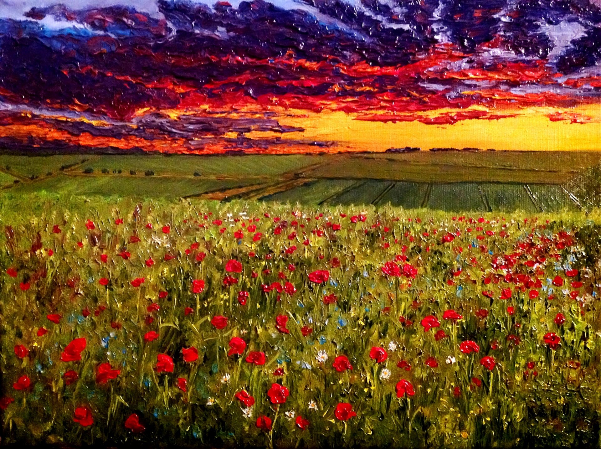 pittura cielo serale sopra il campo di papaveri olio su tela artista o. katz