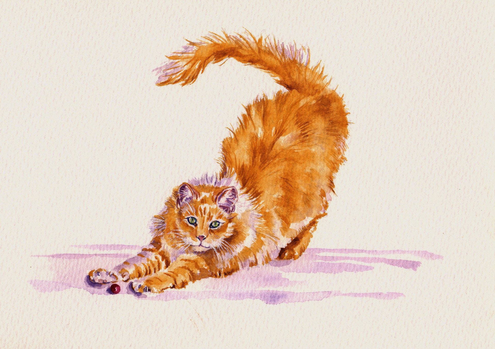 chat chat en train de siroter aquarelle