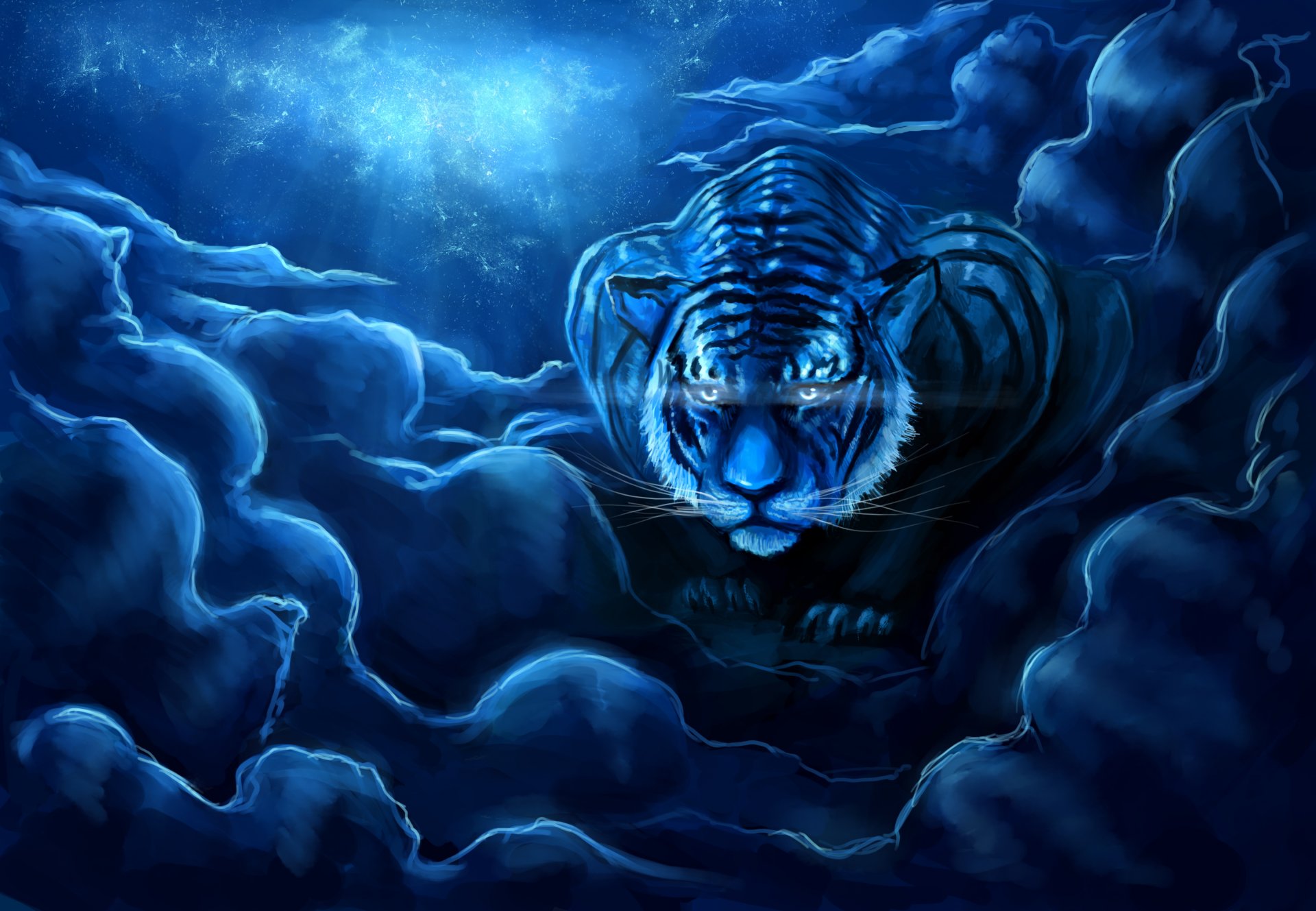 arte zepher234 tigre cielo noche