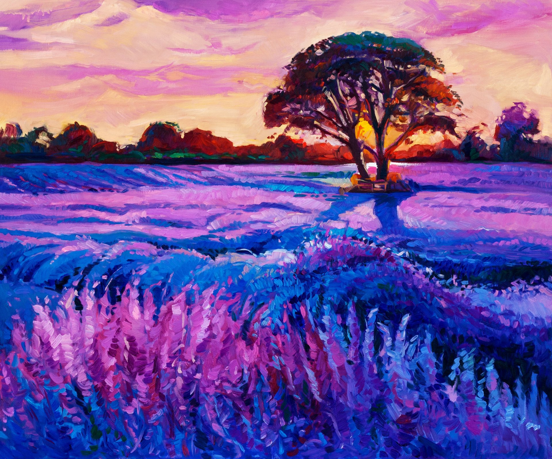 pittura bellezza tramonto cielo natura fiori alberi