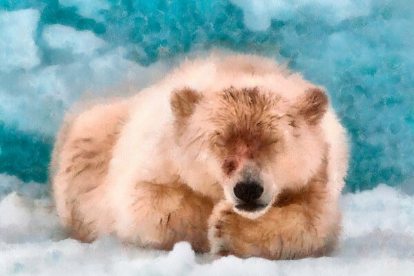 Orso polare sdraiato sulla neve