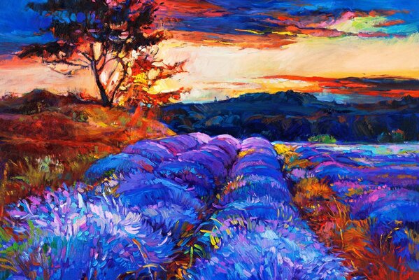 Landscape of the lavender field. Purple flowers in the field