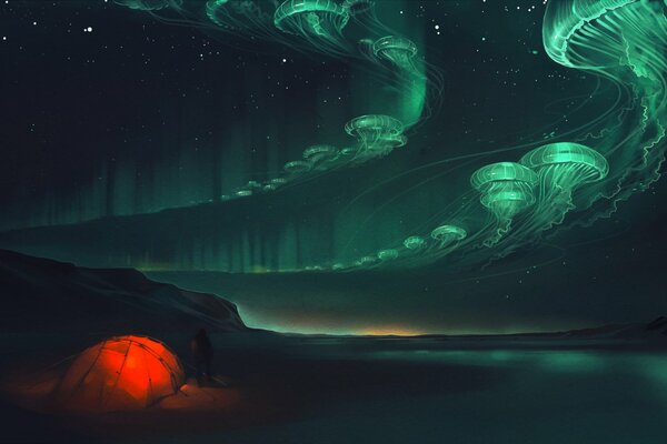 The glow of jellyfish and the incredible observation of such an event