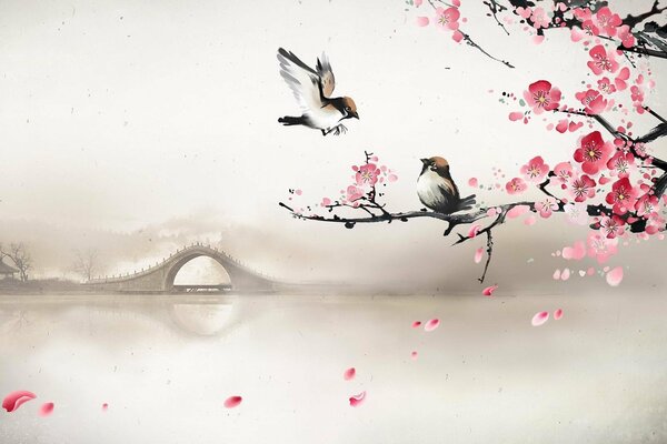 Птички на дереве сакуры весной