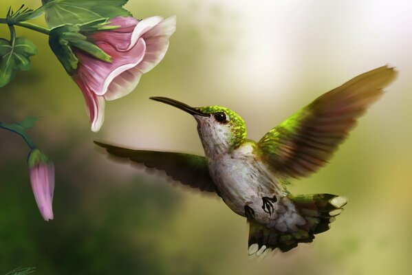 Rysunek artystyczny z różowym kwiatem i małym ptaszkiem
