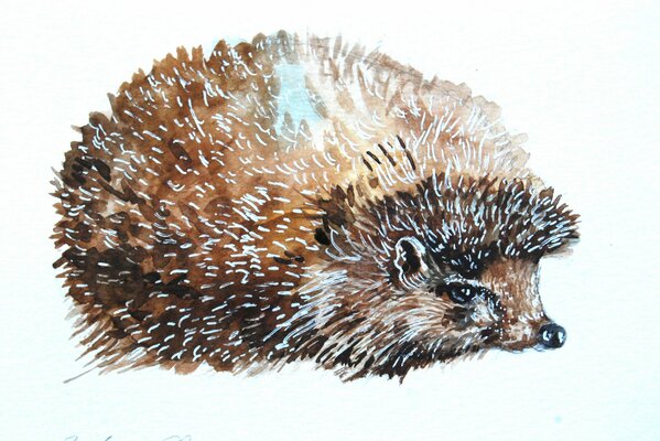 Aquarell Igel mit blauen Nadeln