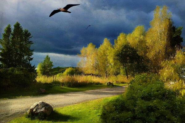 Landscape with bird and trees