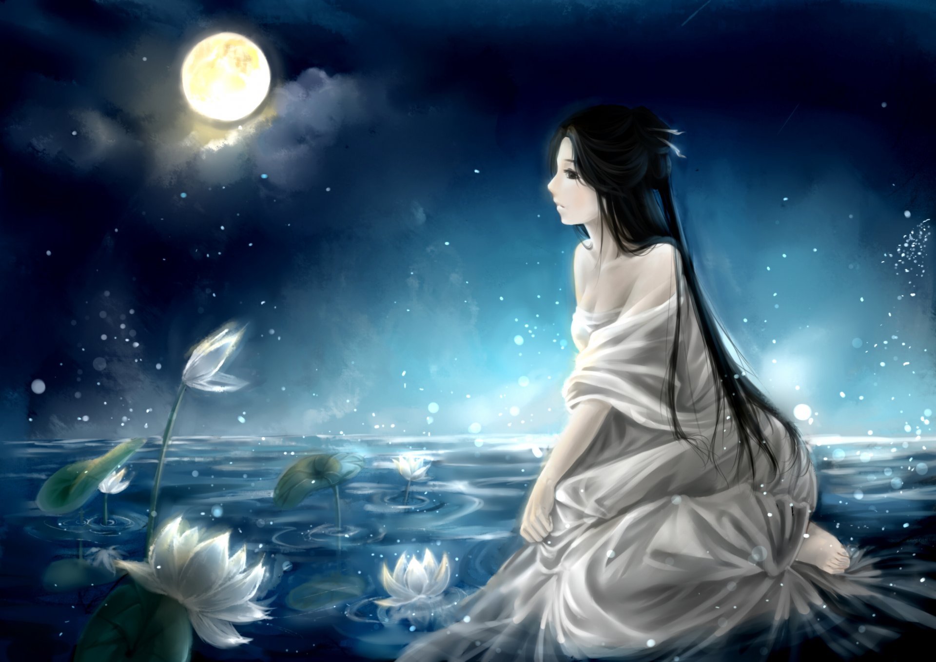 arte clouble ragazza notte luna ninfee lago cielo nuvole anime