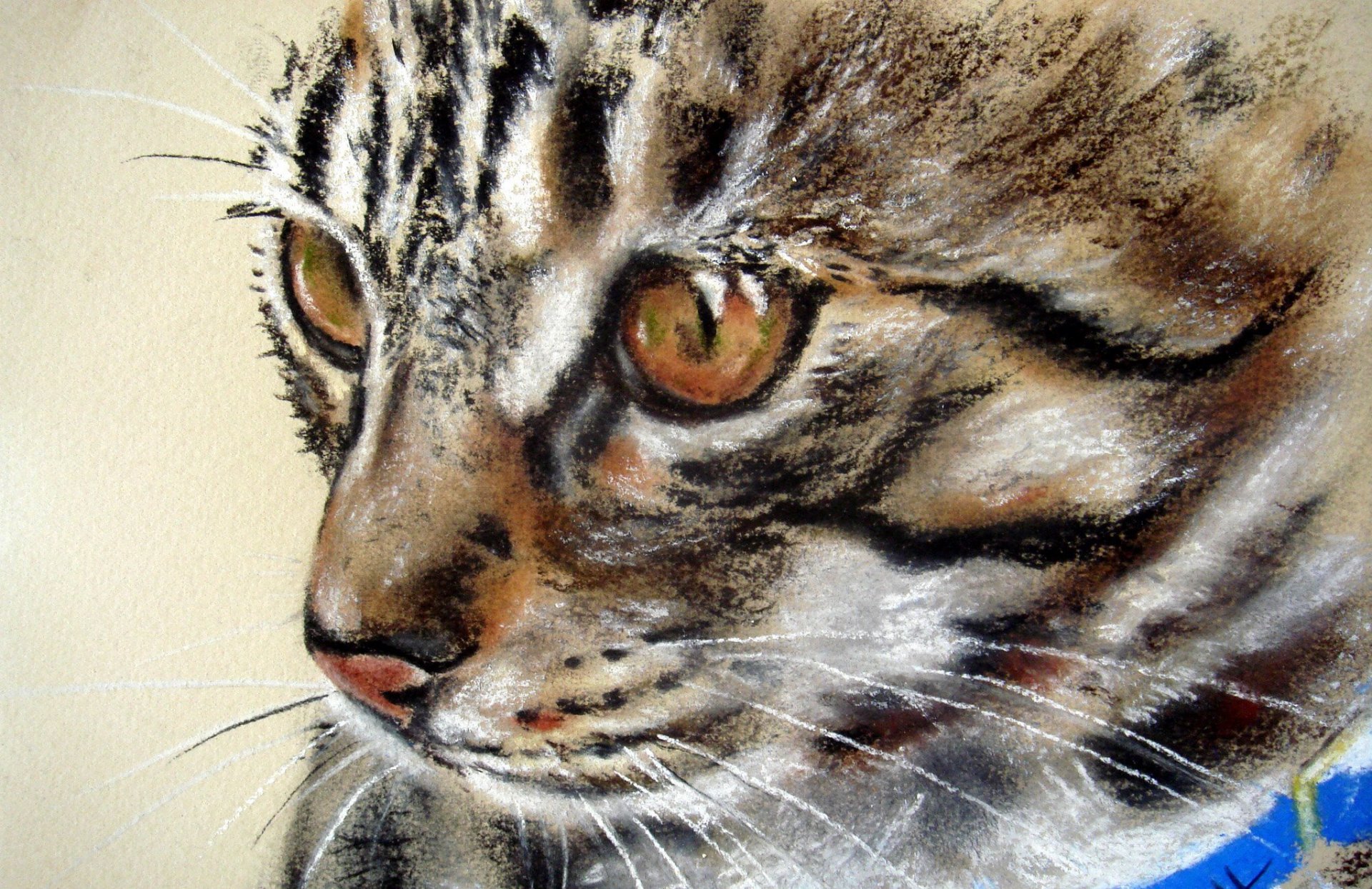 pintura animal gato hocico ojos mirada collar azul